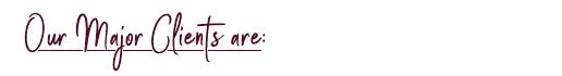 Our Major Clients